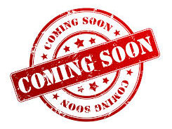  SCHWARZMULLER  KURTYNA